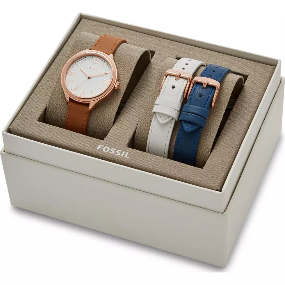 Fossil Suitor Interchangeable Box Set 36mm