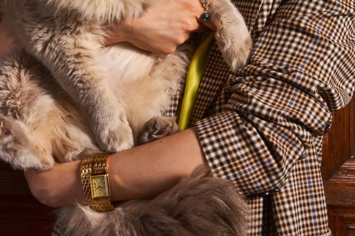 Fossil Raquel: Khám phá BST đồng hồ nữ thanh lịch & đậm chất Vintage-Trendy 12 Fossil Raquel